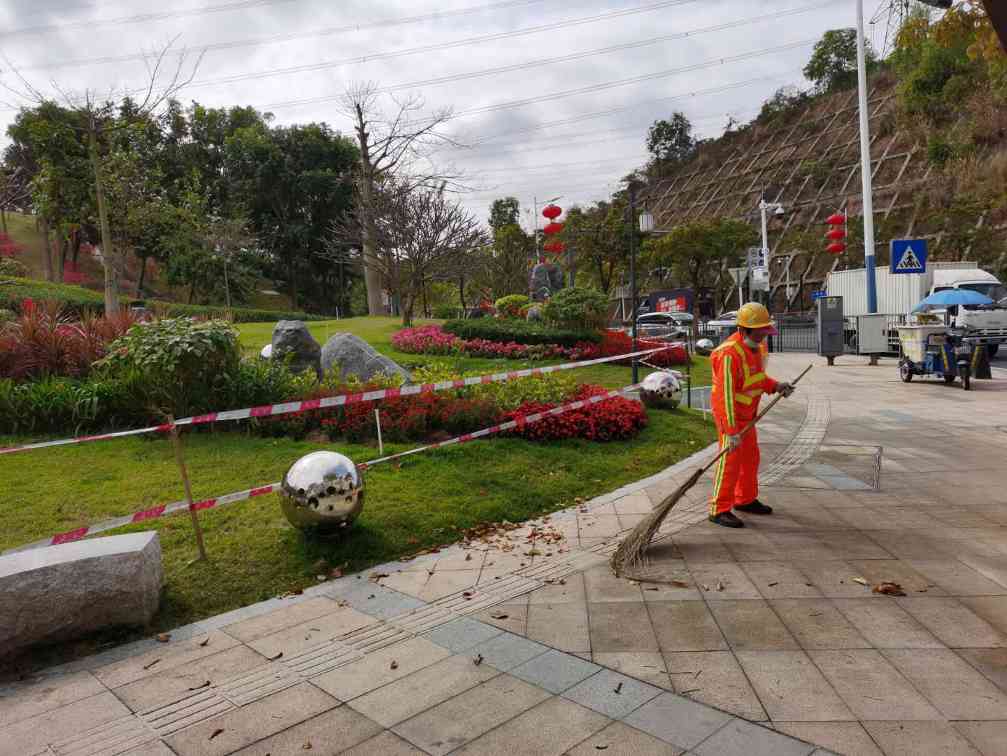 龙华区大浪项目道路清洁(图1)
