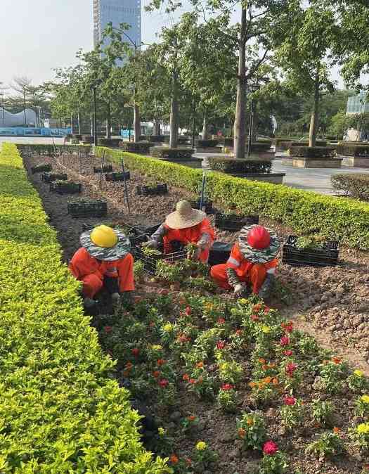 佛山顺德大良物业城市项目环卫绿...(图1)