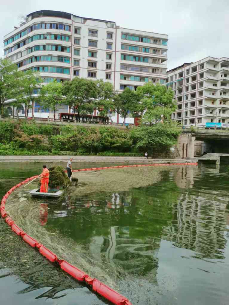 贵州遵义城市绿化管养项目(图1)