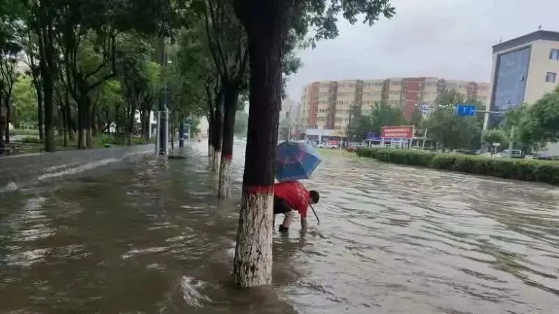“汛”速出击!直击京津冀抗洪第一线的环卫力量(图5) “汛”速出击!直击京津冀抗洪第一线的环卫力量(图5)