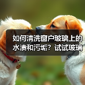 如何清洗窗户玻璃上的水渍和污垢?试试玻璃清洁剂(图4) 如何清洗窗户玻璃上的水渍和污垢?试试玻璃清洁剂(图4)