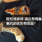 轻松除异味 酒店专用臭氧机的优势有哪些?(图2) 轻松除异味 酒店专用臭氧机的优势有哪些?(图2)