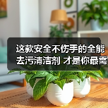 这款安全不伤手的全能去污清洁剂 才是你最需要的!(图4) 这款安全不伤手的全能去污清洁剂 才是你最需要的!(图4)