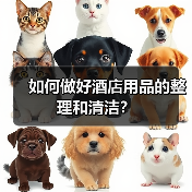 如何做好酒店用品的整理和清洁?(图4) 如何做好酒店用品的整理和清洁?(图4)