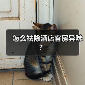 怎么祛除酒店客房异味?(图1) 怎么祛除酒店客房异味?(图1)