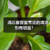 酒店客房里常见的清洁剂有哪些?(图1) 酒店客房里常见的清洁剂有哪些?(图1)