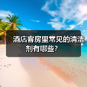 酒店客房里常见的清洁剂有哪些?(图2) 酒店客房里常见的清洁剂有哪些?(图2)