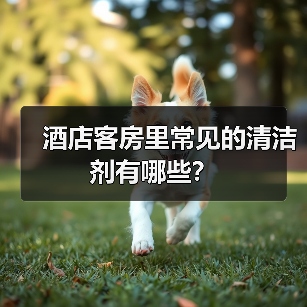 酒店客房里常见的清洁剂有哪些?(图3) 酒店客房里常见的清洁剂有哪些?(图3)