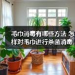 毛巾消毒有哪些方法 怎样对毛巾进行杀菌消毒(图1) 毛巾消毒有哪些方法 怎样对毛巾进行杀菌消毒(图1)