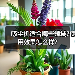 吸尘机适合哪些领域?使用效果怎么样?(图1) 吸尘机适合哪些领域?使用效果怎么样?(图1)