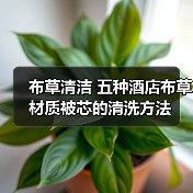 布草清洁 五种酒店布草材质被芯的清洗方法(图1) 布草清洁 五种酒店布草材质被芯的清洗方法(图1)