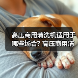 高压商用清洗机适用于哪些场合? 高压商用清洗机适用于哪些场合?(图2) 高压商用清洗机适用于哪些场合? 高压商用清洗机适用于哪些场合?(图2)