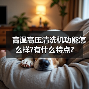 高温高压清洗机功能怎么样?有什么特点?(图3) 高温高压清洗机功能怎么样?有什么特点?(图3)