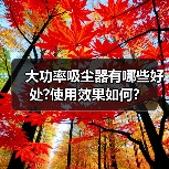 大功率吸尘器有哪些好处?使用效果如何?(图4) 大功率吸尘器有哪些好处?使用效果如何?(图4)