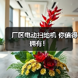 厂区电动扫地机 你值得拥有!(图2) 厂区电动扫地机 你值得拥有!(图2)
