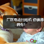 厂区电动扫地机 你值得拥有!(图3) 厂区电动扫地机 你值得拥有!(图3)