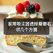 家用吸尘器选择需要看哪几个方面(图3) 家用吸尘器选择需要看哪几个方面(图3)