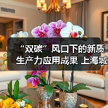 “双碳”风口下的新质生产力应用成果 上海城市环境卫生高峰论坛亮点回顾!(图4) “双碳”风口下的新质生产力应用成果 上海城市环境卫生高峰论坛亮点回顾!(图4)