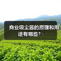 商业吸尘器的原理和用途有哪些?(图3) 商业吸尘器的原理和用途有哪些?(图3)