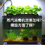 蒸汽消毒机效果怎样?从哪些方面了解?(图2) 蒸汽消毒机效果怎样?从哪些方面了解?(图2)