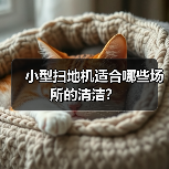 小型扫地机适合哪些场所的清洁?(图2) 小型扫地机适合哪些场所的清洁?(图2)