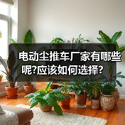 电动尘推车厂家有哪些呢?应该如何选择?(图1) 电动尘推车厂家有哪些呢?应该如何选择?(图1)