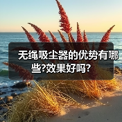 无绳吸尘器的优势有哪些?效果好吗?(图1) 无绳吸尘器的优势有哪些?效果好吗?(图1)