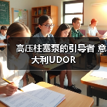 高压柱塞泵的引导者 意大利UDOR(图1) 高压柱塞泵的引导者 意大利UDOR(图1)