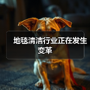 地毯清洁行业正在发生变革(图2) 地毯清洁行业正在发生变革(图2)