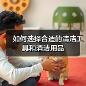 如何选择合适的清洁工具和清洁用品(图1) 如何选择合适的清洁工具和清洁用品(图1)