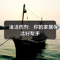 清洁药剂:你的家居保洁好帮手(图4) 清洁药剂:你的家居保洁好帮手(图4)