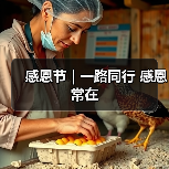 感恩节 | 一路同行 感恩常在（图2）