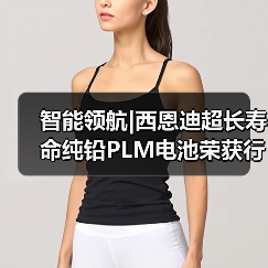 智能领航|西恩迪超长寿命纯铅PLM电池荣获行业“技术创新奖”（图1）