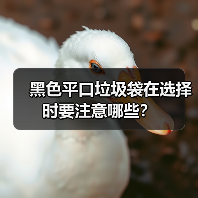 黑色平口垃圾袋在选择时要注意哪些？（图4）