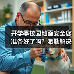 开学季校园地面安全您准备好了吗?派勒解决方案全解析(图3) 开学季校园地面安全您准备好了吗?派勒解决方案全解析(图3)