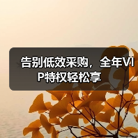 告别低效采购,全年VIP特权轻松享(图3) 告别低效采购,全年VIP特权轻松享(图3)