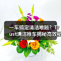 一车搞定清洁难题?Trust清洁推车揭秘高效秘诀(图2) 一车搞定清洁难题?Trust清洁推车揭秘高效秘诀(图2)